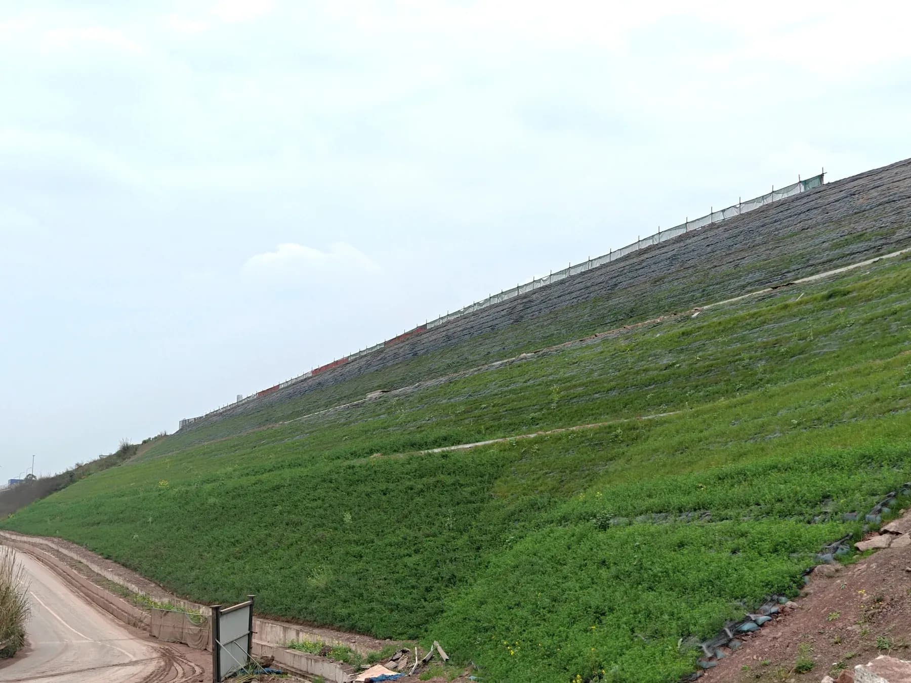 Reinforced soil slope with a fully established vegetation cover over the whole face.